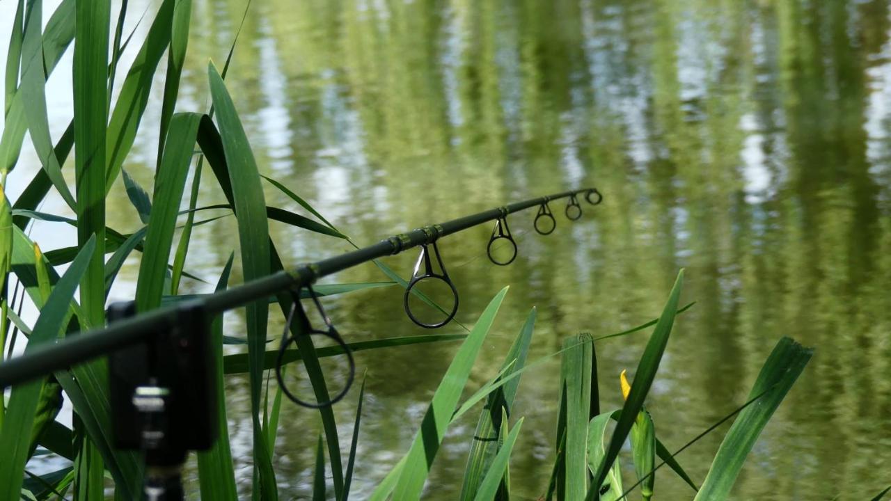 Rum Bridge Fisheries "The Cabin" Ξενοδοχείο Clare Εξωτερικό φωτογραφία